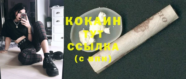первитин Богородицк