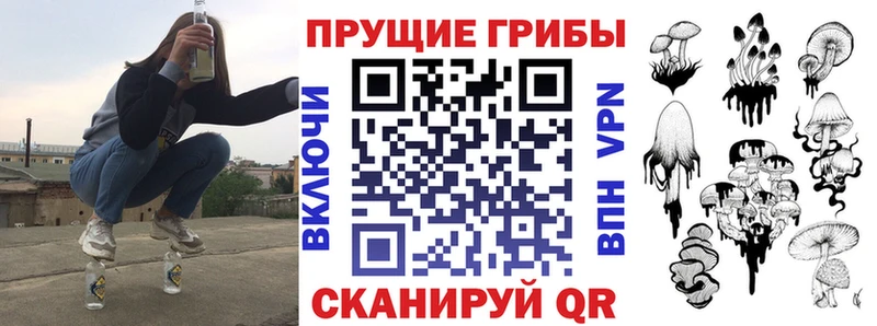 Купить  Озёрск  Галлюциногенные грибы Magic Shrooms 